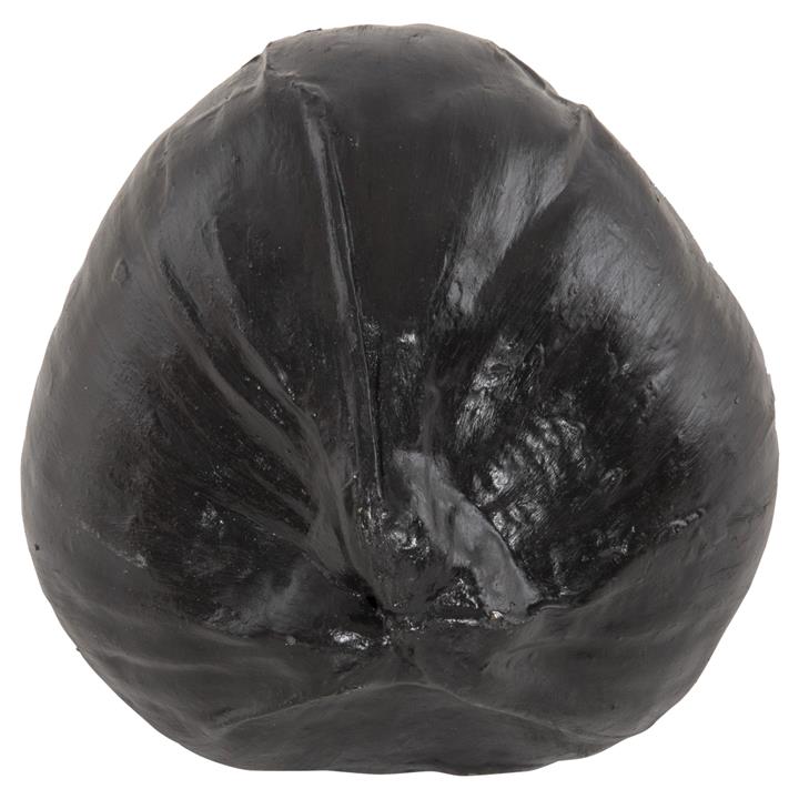 TABLE DECORATION HM4326.02 COCONUT IN BLACK COLOR 20x20x20Hcm.