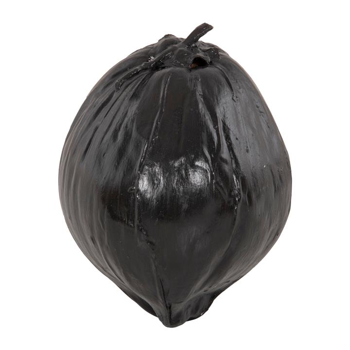 TABLE DECORATION HM4326.02 COCONUT IN BLACK COLOR 20x20x20Hcm.