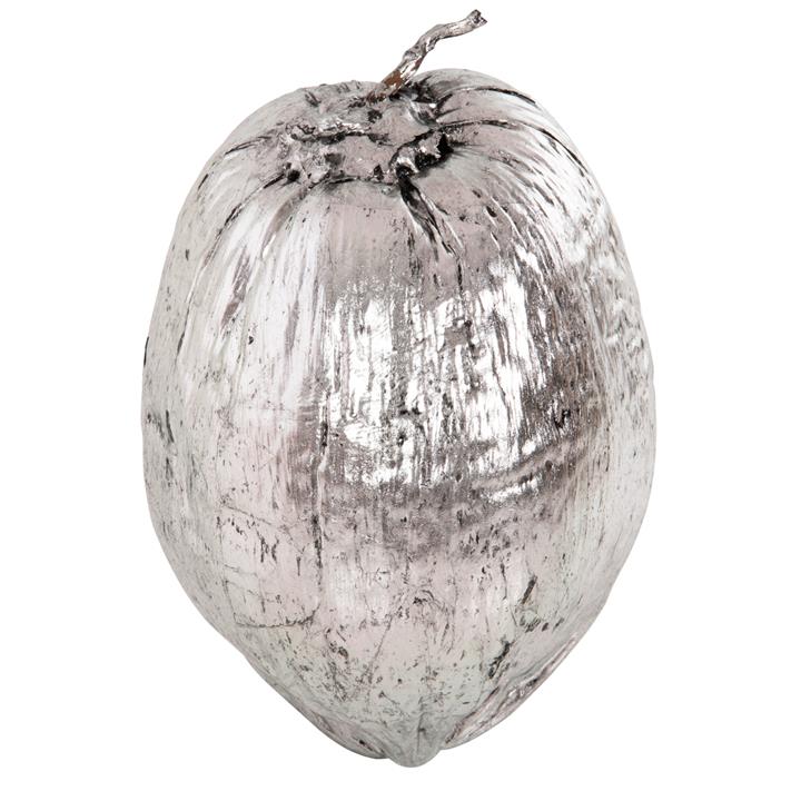 TABLE DECORATION HM4326.04 COCONUT IN SILVER COLOR 20x20x20Hcm.