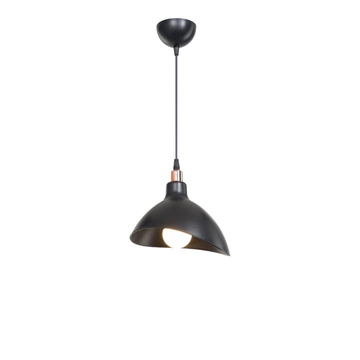 Single light Oufoa pakoworld pp ceiling lamp in black shade D22x53cm