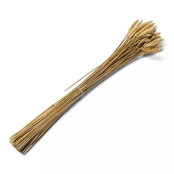 ΑΠΟΞΗΡΑΜΕΝΟ ΣΤΑΧΥ 70G 60CM