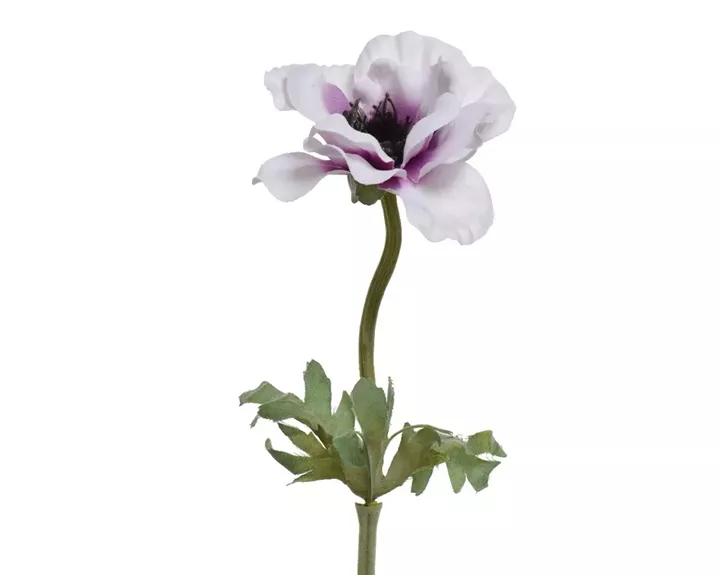 ΑΝΕΜΩΝΗ 57 CM