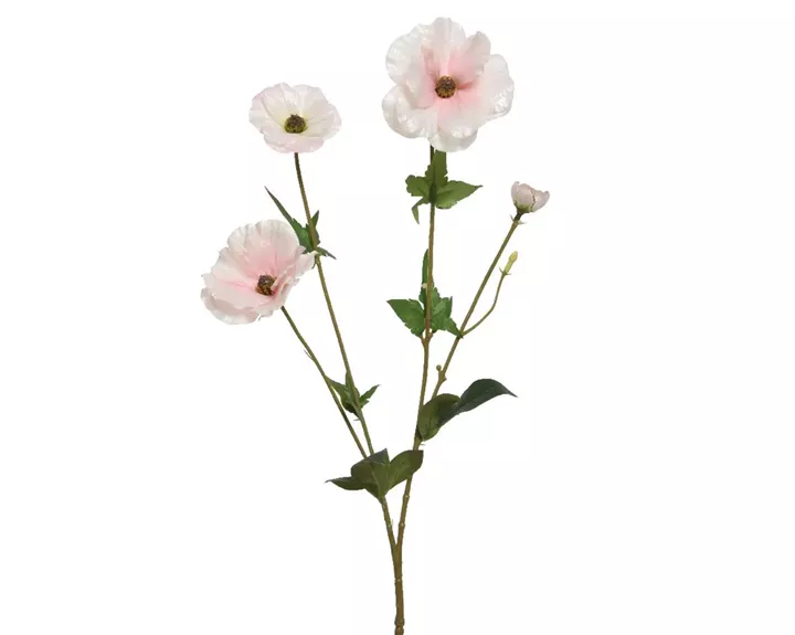 ΛΟΥΛΟΥΔΙ  67CM