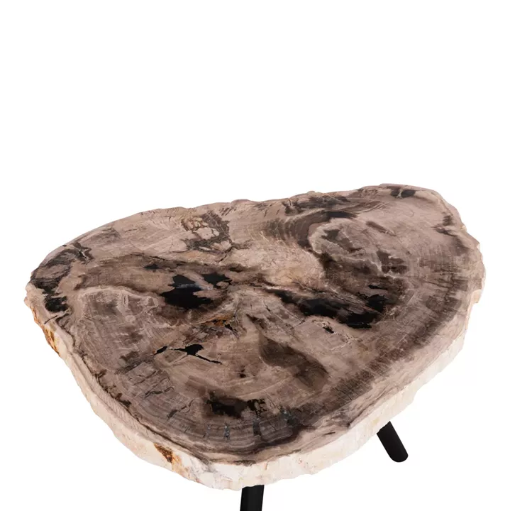 SIDE TABLE SAMAN HM9931 METAL BLACK LEGS-PETRIFIED WOOD TOP 70x55x40Hcm.