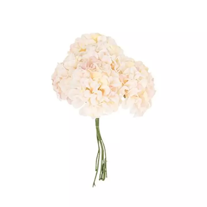 Beauty Home 6 ΟΡΤΑΝΣΙΕΣ 10cm
