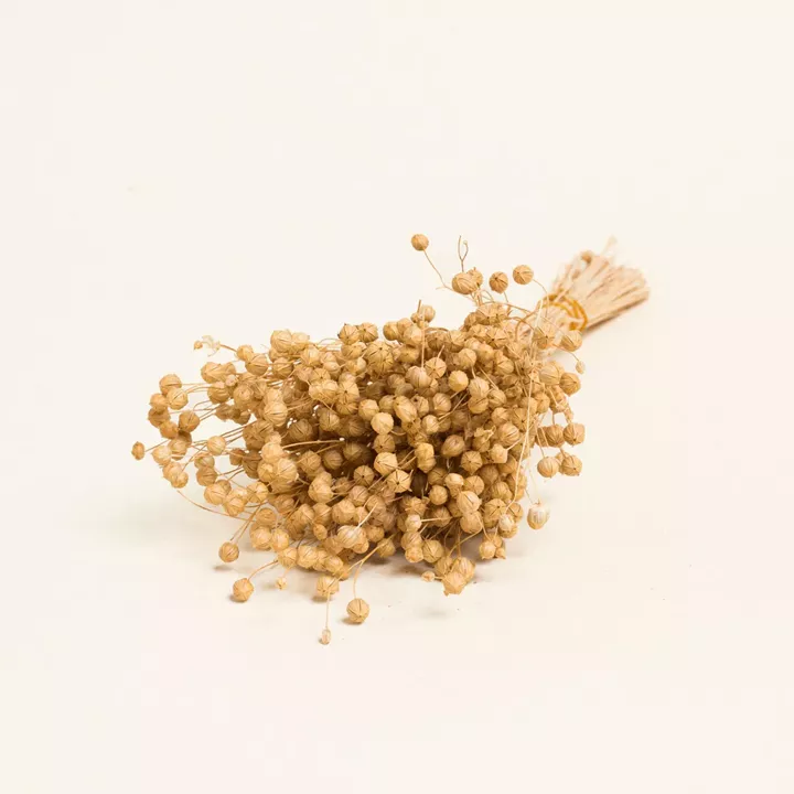 Beauty Home ΑΠΟΞΗΡΑΜΕΝΟ ΛΙΝΑΡΙ      