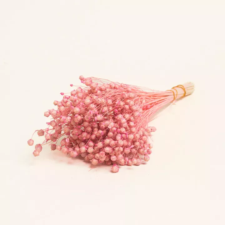 Beauty Home ΑΠΟΞΗΡΑΜΕΝΟ ΛΙΝΑΡΙ      