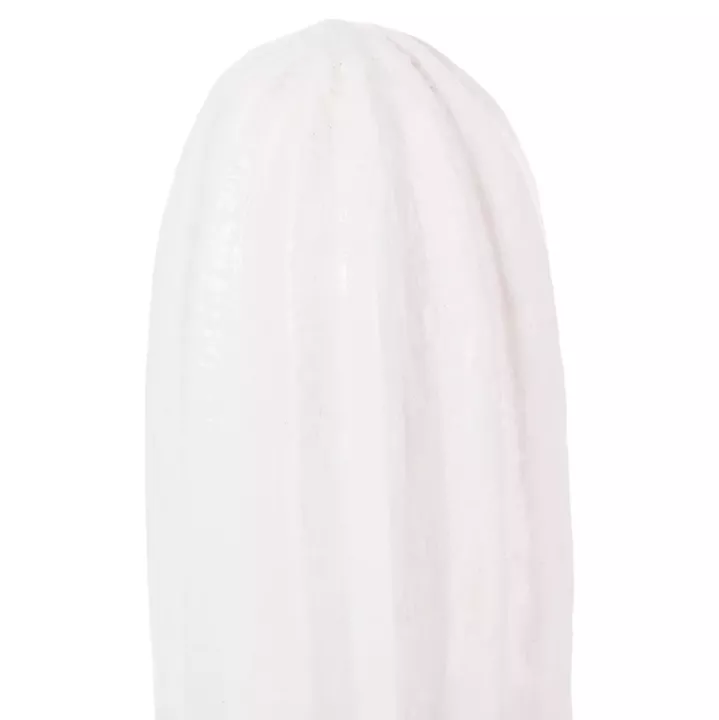 ΔΙΑΚΟΣΜΗΤΙΚΟΣ ΚΑΚΤΟΣ ΔΑΠΕΔΟΥ CACTUS HM4386.02S MDF ΣΕ ΛΕΥΚΟ 42x30x74Υεκ